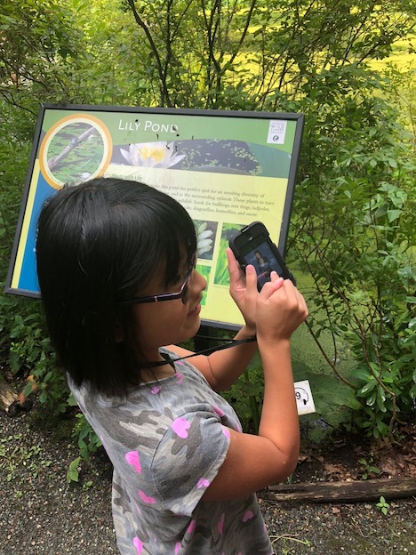Photograph of a girl using the signing dictionary at a nature park.
